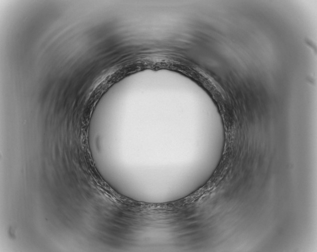 X0000094230823200710261012