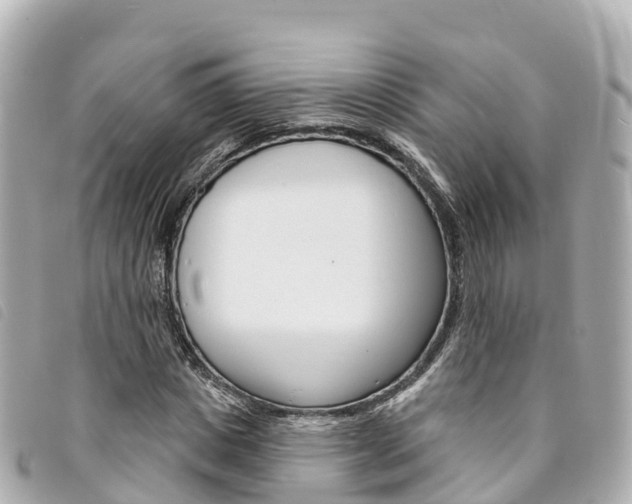 X0000094230825200710261012