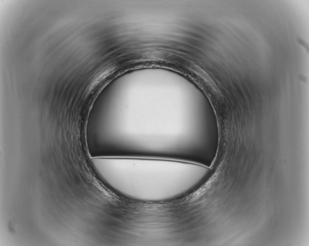 X0000094230826200710261012