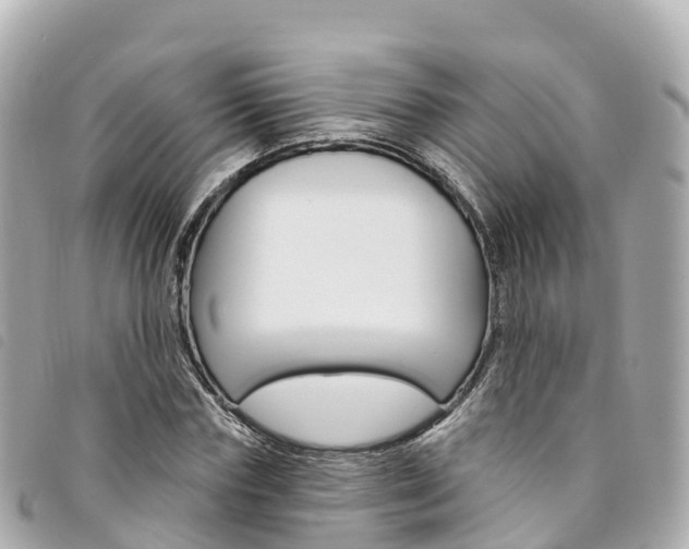 X0000094230827200710261012