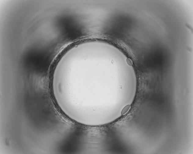 X0000094230828200710261012