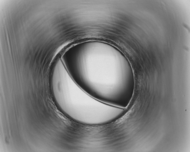 X0000094230830200710261012
