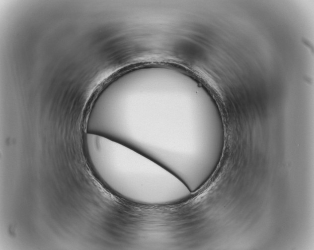 X0000094230831200710261012