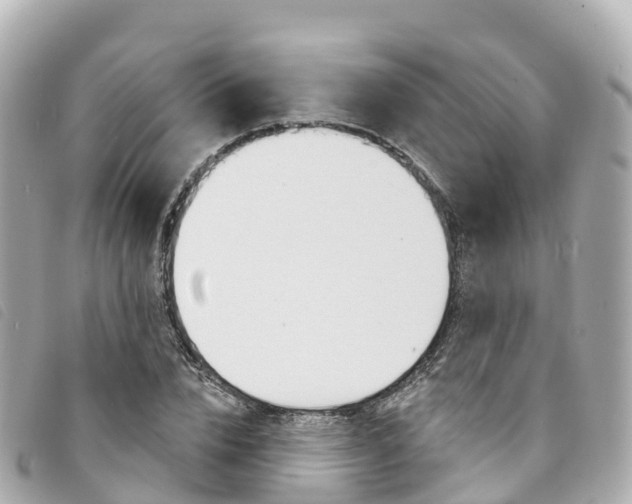 X0000094230832200710261012