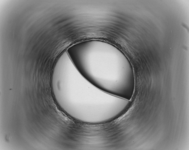 X0000094230833200710261012