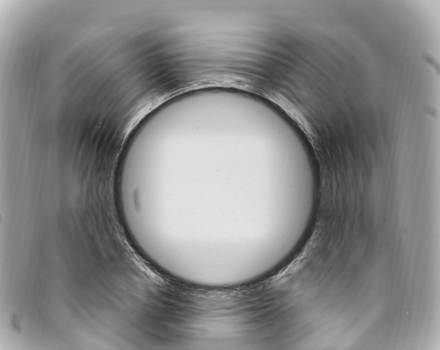 X0000094230834200710261012