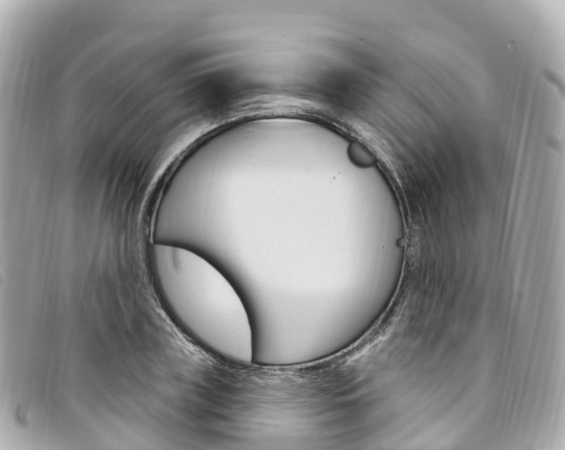 X0000094230835200710261012
