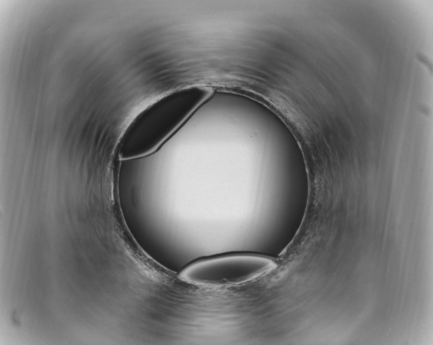 X0000094230838200710261012