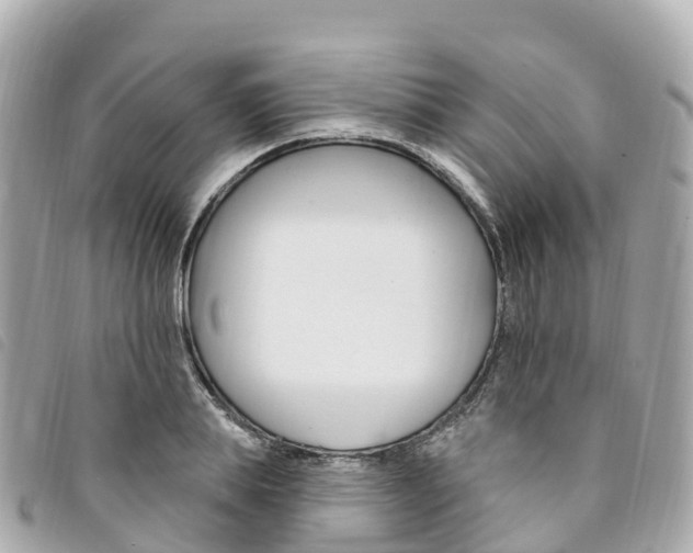 X0000094230839200710261012
