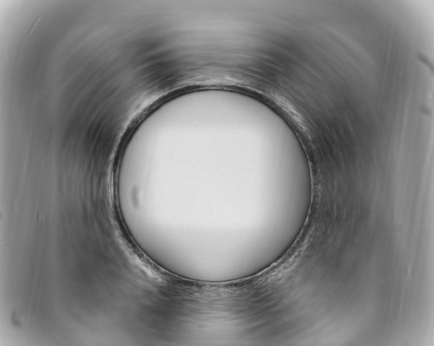 X0000094230840200710261012