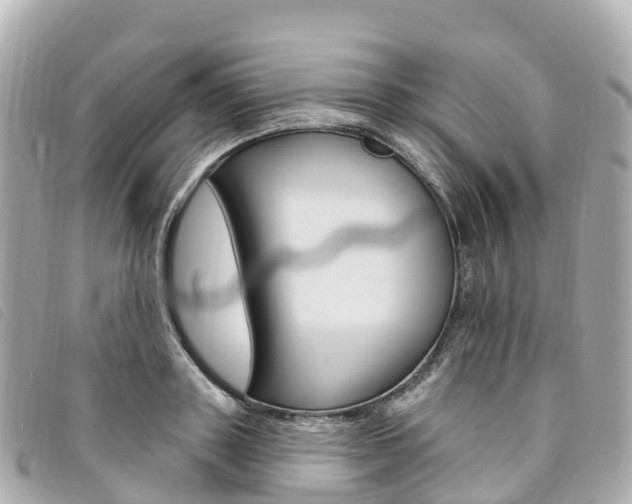 X0000094230843200710261012