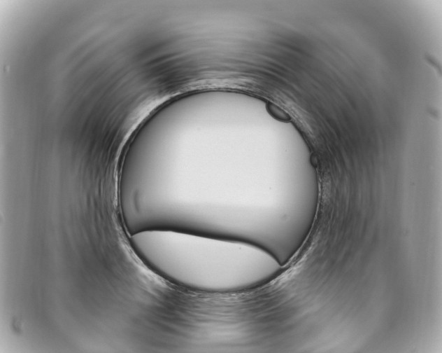 X0000094230844200710261012