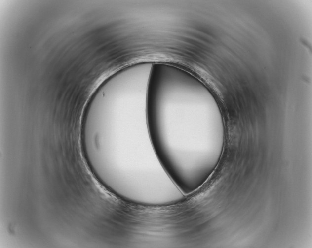 X0000094230845200710261012
