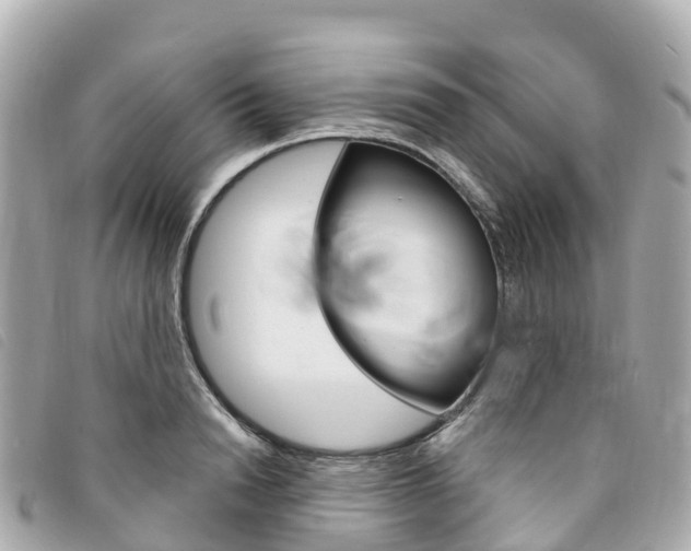 X0000094230846200710261012
