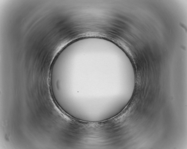 X0000094230847200710261012