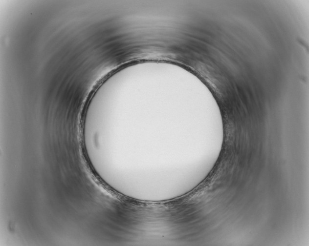 X0000094230848200710261012