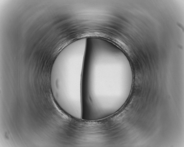 X0000094230849200710261012