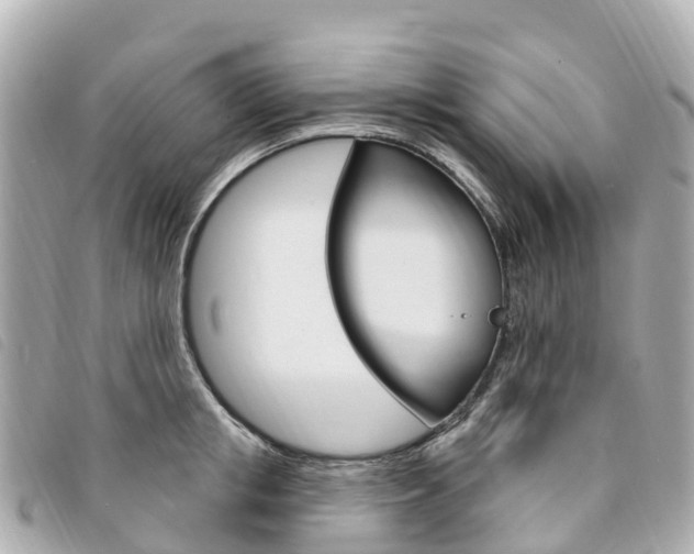 X0000094230853200710261012
