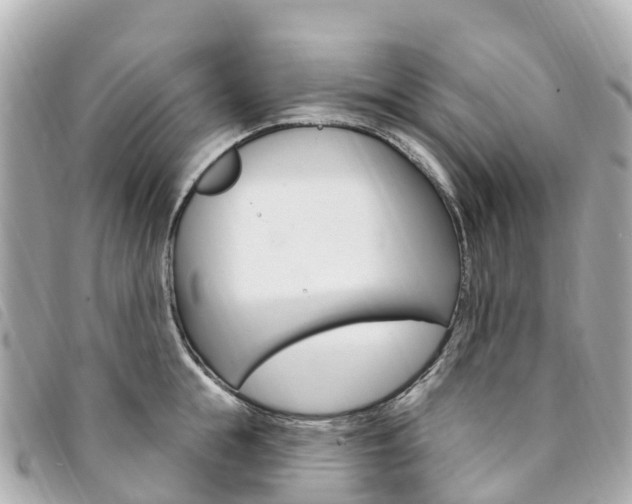 X0000094230855200710261012