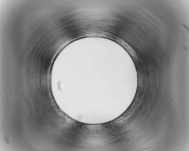 X0000094230856200710261012