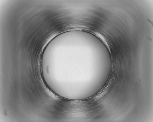 X0000094230859200710261012