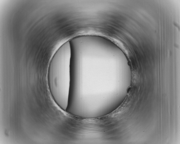 X0000094230863200710261012