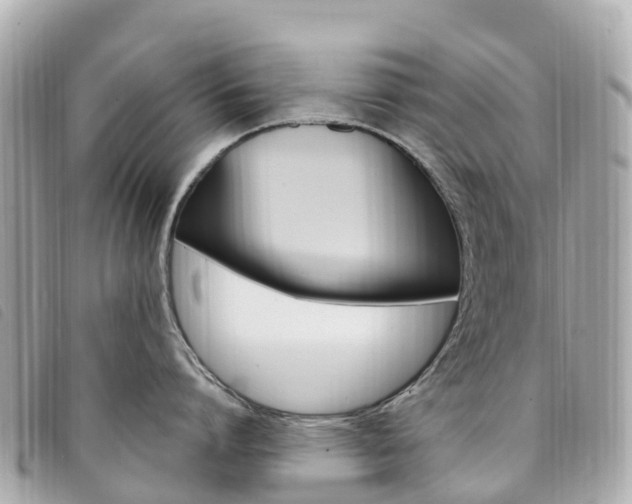 X0000094230864200710261012