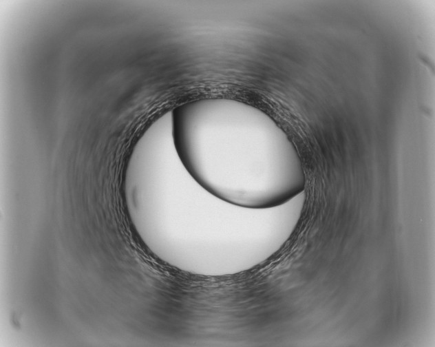 X0000094230865200710261012