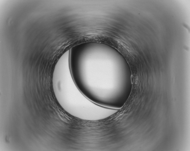 X0000094230868200710261012