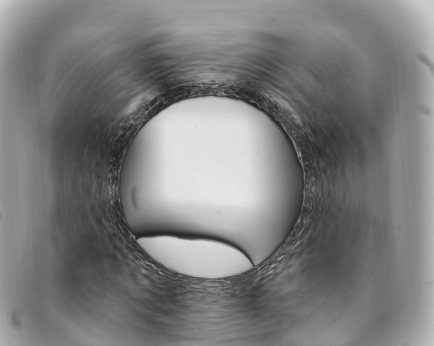 X0000094230869200710261012