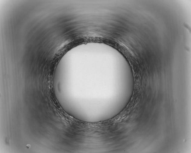 X0000094230870200710261012