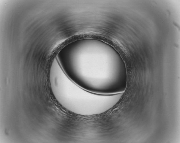 X0000094230872200710261012