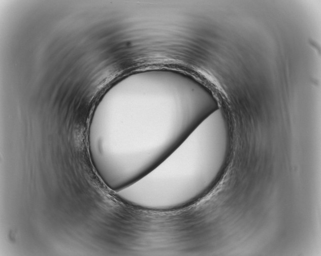 X0000094230873200710261012