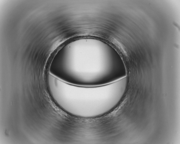 X0000094230876200710261012