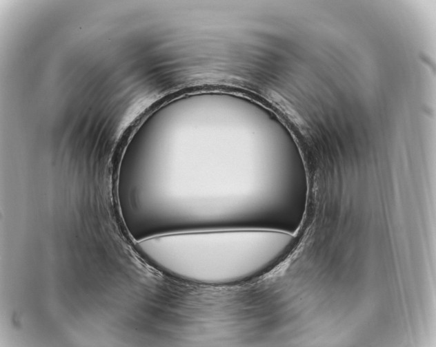 X0000094230877200710261012