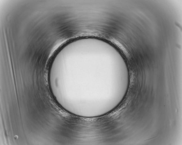 X0000094230878200710261012