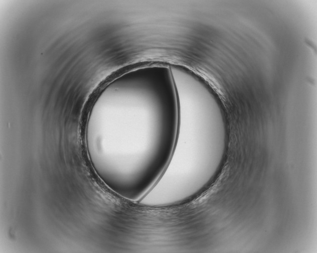 X0000094230880200710261012