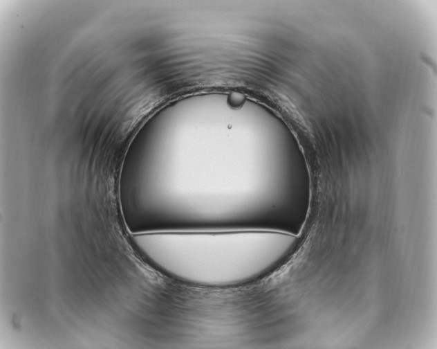 X0000094230881200710261012