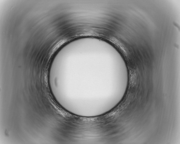 X0000094230882200710261012