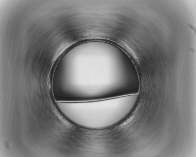 X0000094230885200710261012
