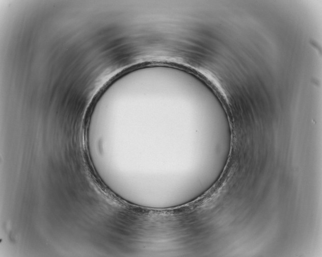 X0000094230887200710261011