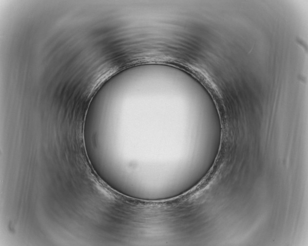 X0000094230889200710261011