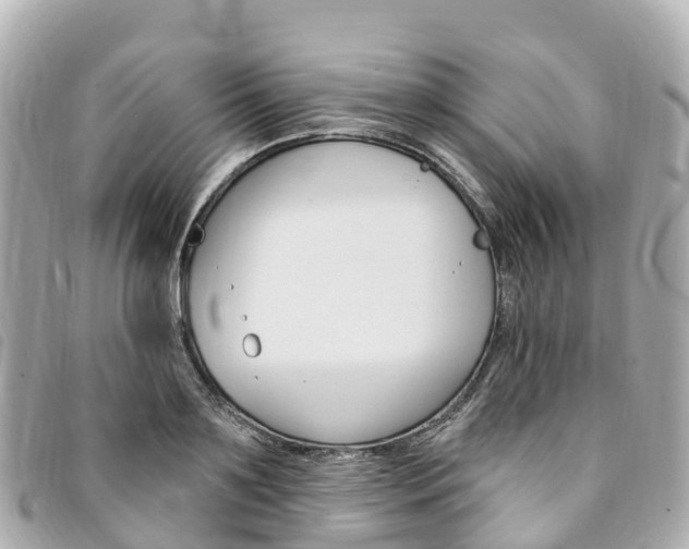 X0000094230891200710261011