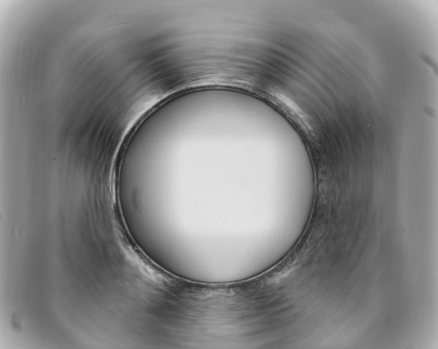 X0000094230892200710261011