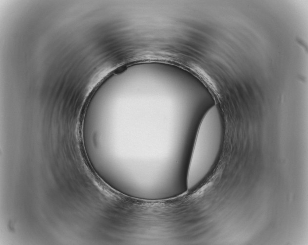 X0000094230893200710261011