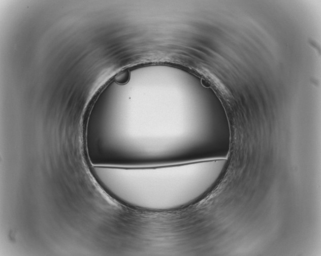 X0000094230894200710261011