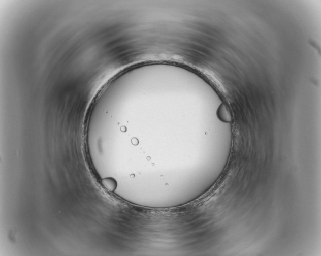 X0000094230895200710261011