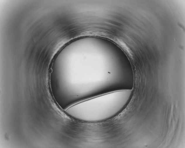X0000094230896200710261011