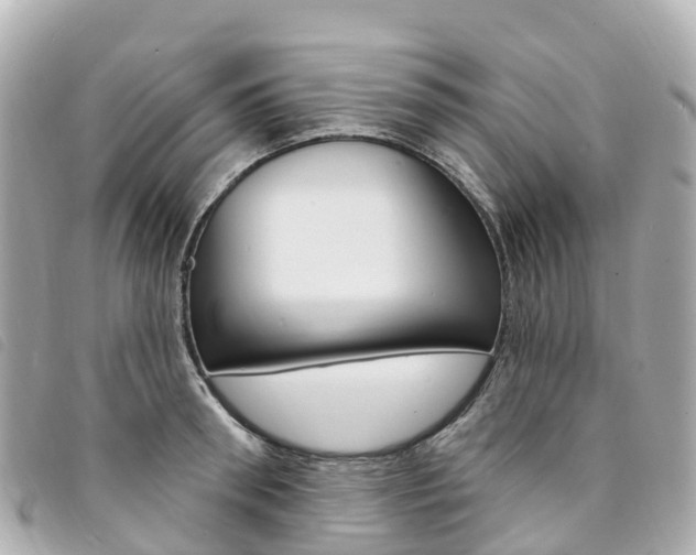 X0000094230898200710261011