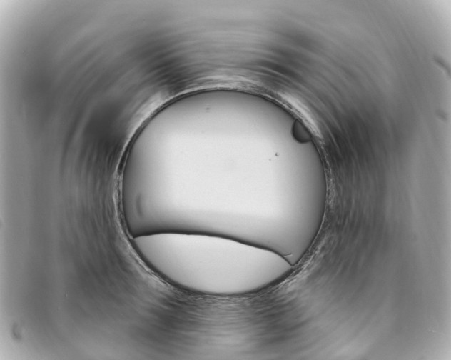X0000094230899200710261011